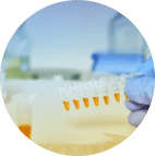 Biomarker Discovery Solutions