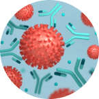 Antibody Discovery Solutions