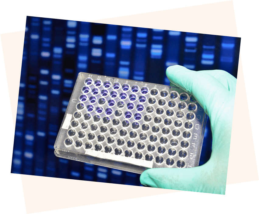 Explore CD Genomics