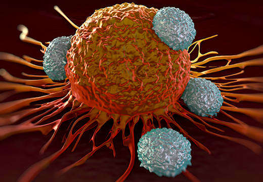 Immuno-Oncology Solutions