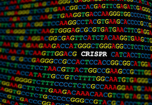 Genome Editing and Engineering Solutions