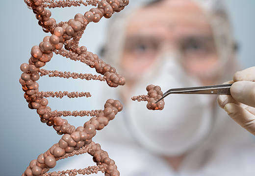 Viral Vector Development Solutions