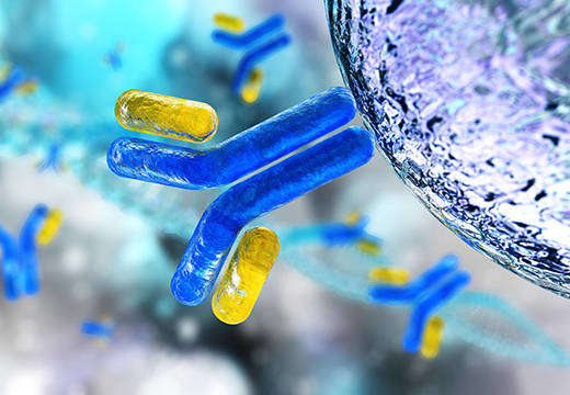 Antibody Discovery Solutions