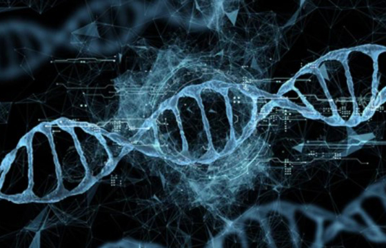 eccDNA Research Solutions
