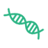 Various types of genome and transcriptome sequencing services