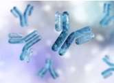 Antibody Display Sequencings