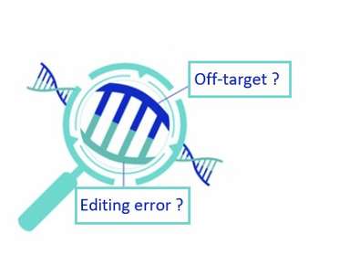 Overview of CRISPR off-target discovery