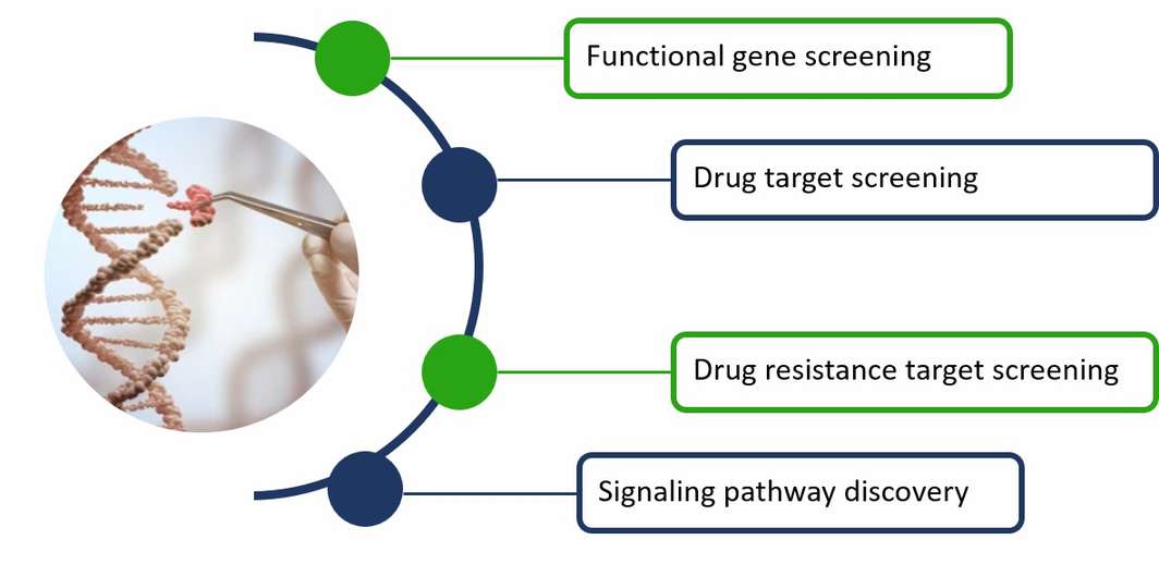 Applications in genome editing and engineering