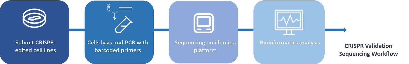 The workflow of CRISPR validation sequencing service
