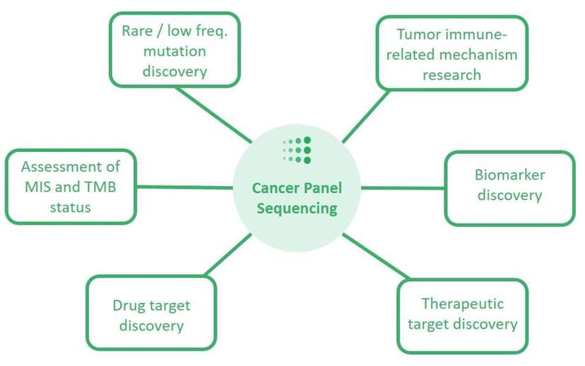 Applications in immuno-oncology research