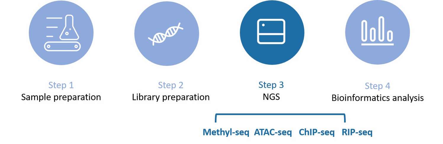 The workflow of epigenome sequencing service