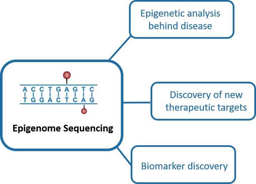 Applications in pharma research