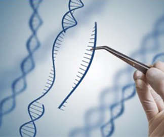 CRISPR Validation Sequencing