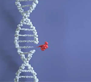 CRISPR Off-target Discovery