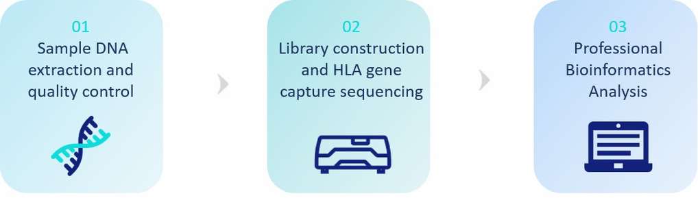 HLA typing sequencing workflow