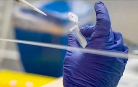 Overview of whole genome sequencing