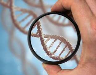 Overview of single cell genome sequencing