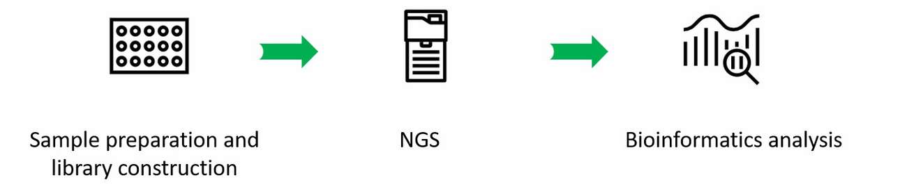 The workflow of metagenomics sequencing service