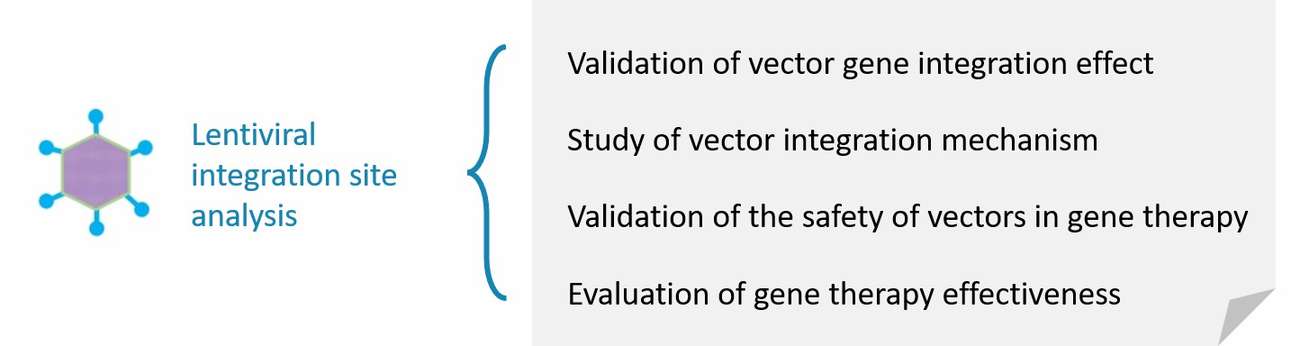 Applications in gene delivery system research