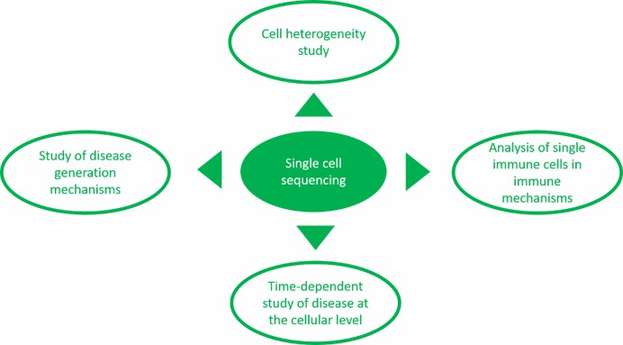 Applications in pharma research