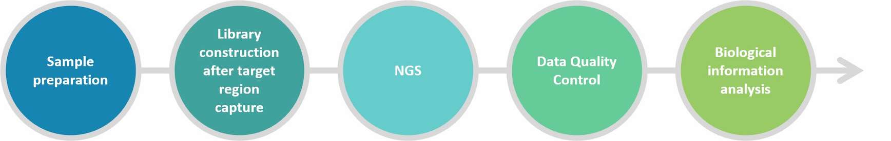Targeted region sequencing workflow
