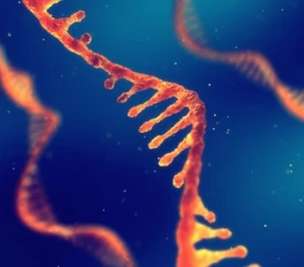 Overview of transcriptome sequencing
