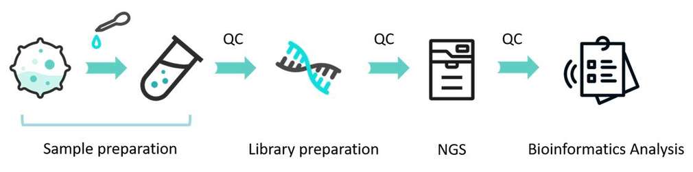 The workflow of tumor microenvironment profiling