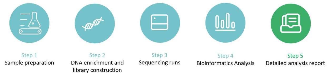 The workflow of whole genome sequencing