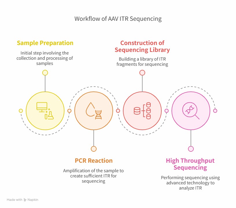 The Process of ITR Sequencing