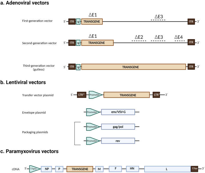 Diagrammatic illustration of various viral-based vectors (Henríquez et al., 2024)