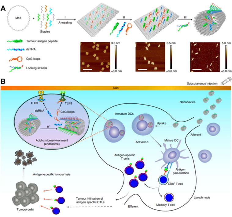 Immunogen production methods in cells for different vaccine platforms (Li et al., 2021)