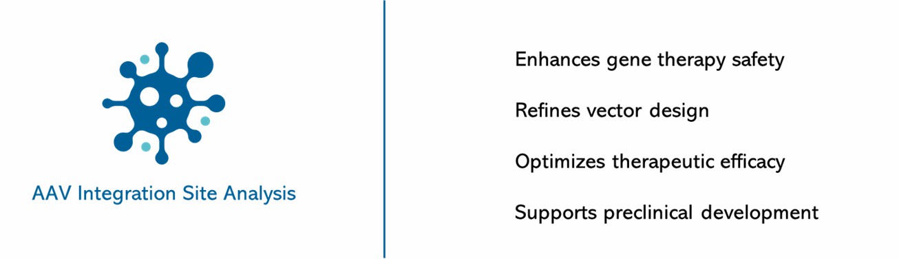 Key applications of AAV integration site analysis.