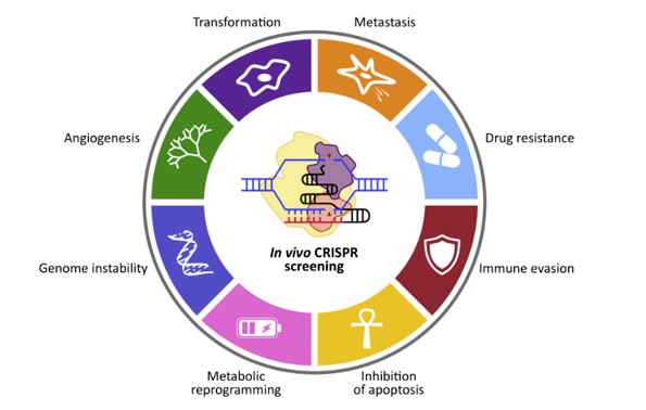 Figure 1. Various phenotypes for CRISPR screening