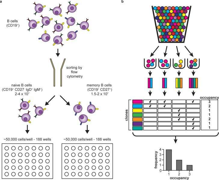 Experimental and informatic design (DeWitt et al., 2016)