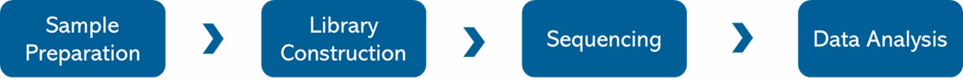 Figure 1. CRISPR off-target validation sequencing workflow