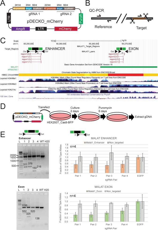 Deletion efficiency of paired sgRNA designs (Pulido-Quetglas et al., 2017)