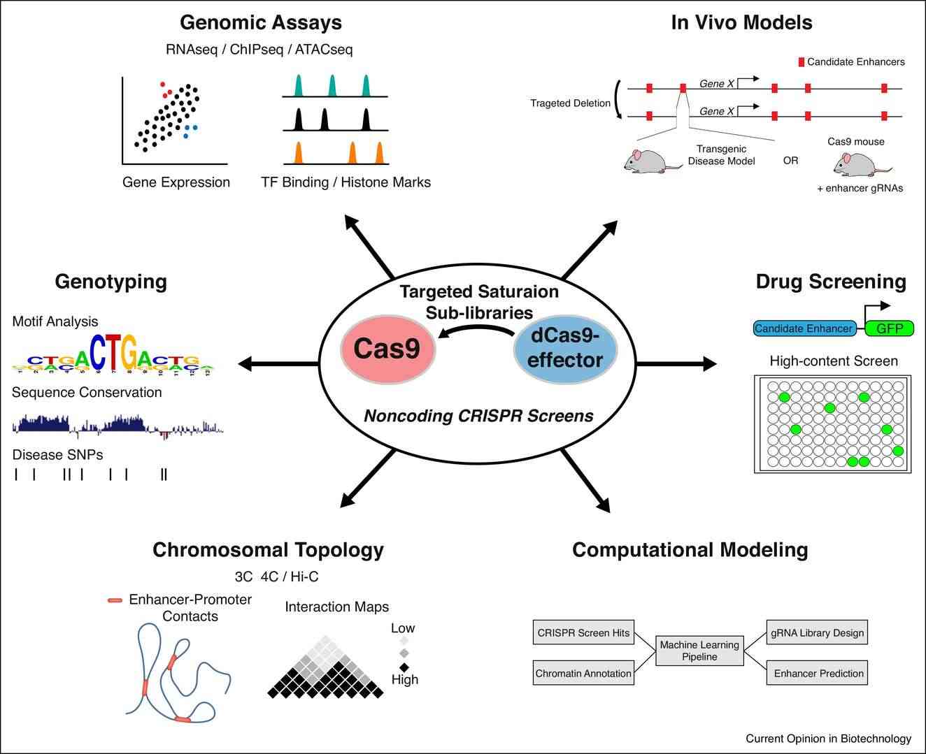 Various applications of hits from noncoding CRISPR screens (Klann et al., 2018)