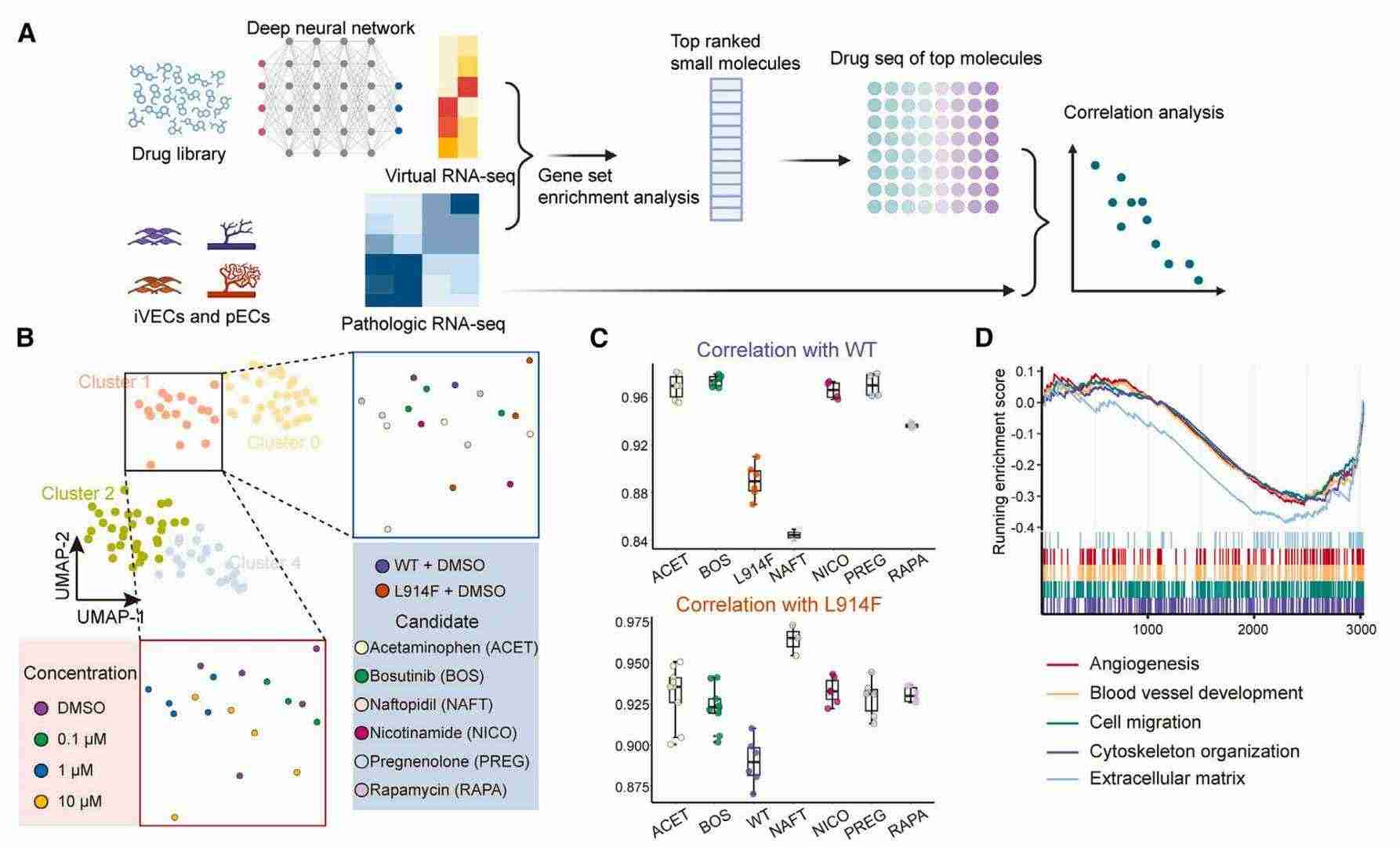 AI-based computational identification of bosutinib as a therapeutic candidate for vascular malformations (Pan et al., 2025)