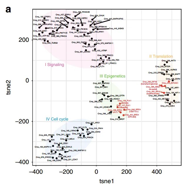 t-SNE clustering analysis of compounds based on transcriptional regulation, visualizing compound grouping by mechanism of action.