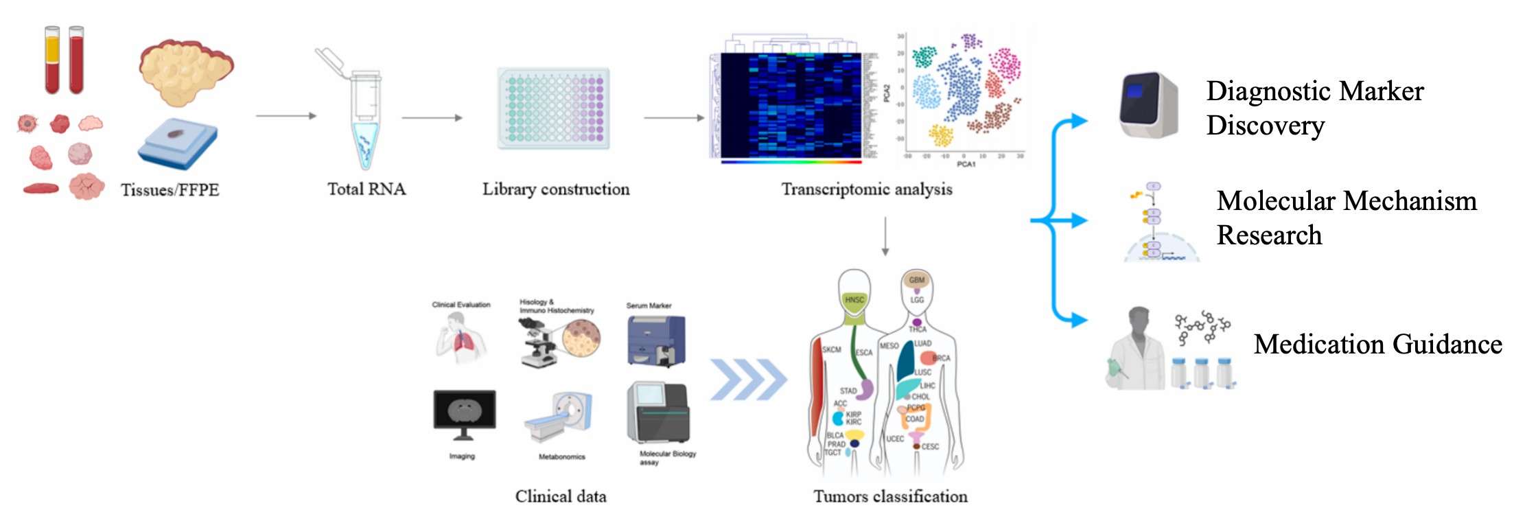 Tumor traceability and diagnostic markers using DRUG-seq2