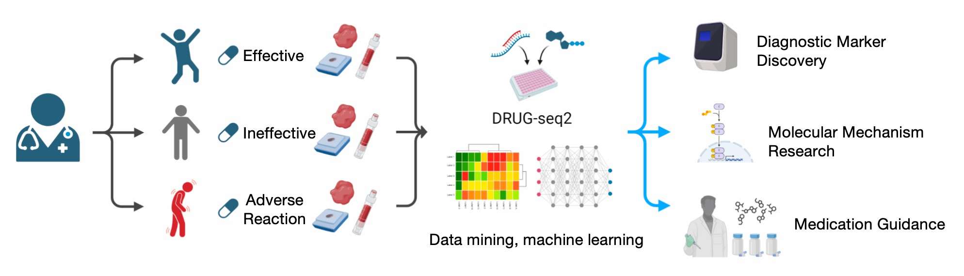 Diagnostic markers and mechanisms in drug-sensitive populations via DRUG-seq2