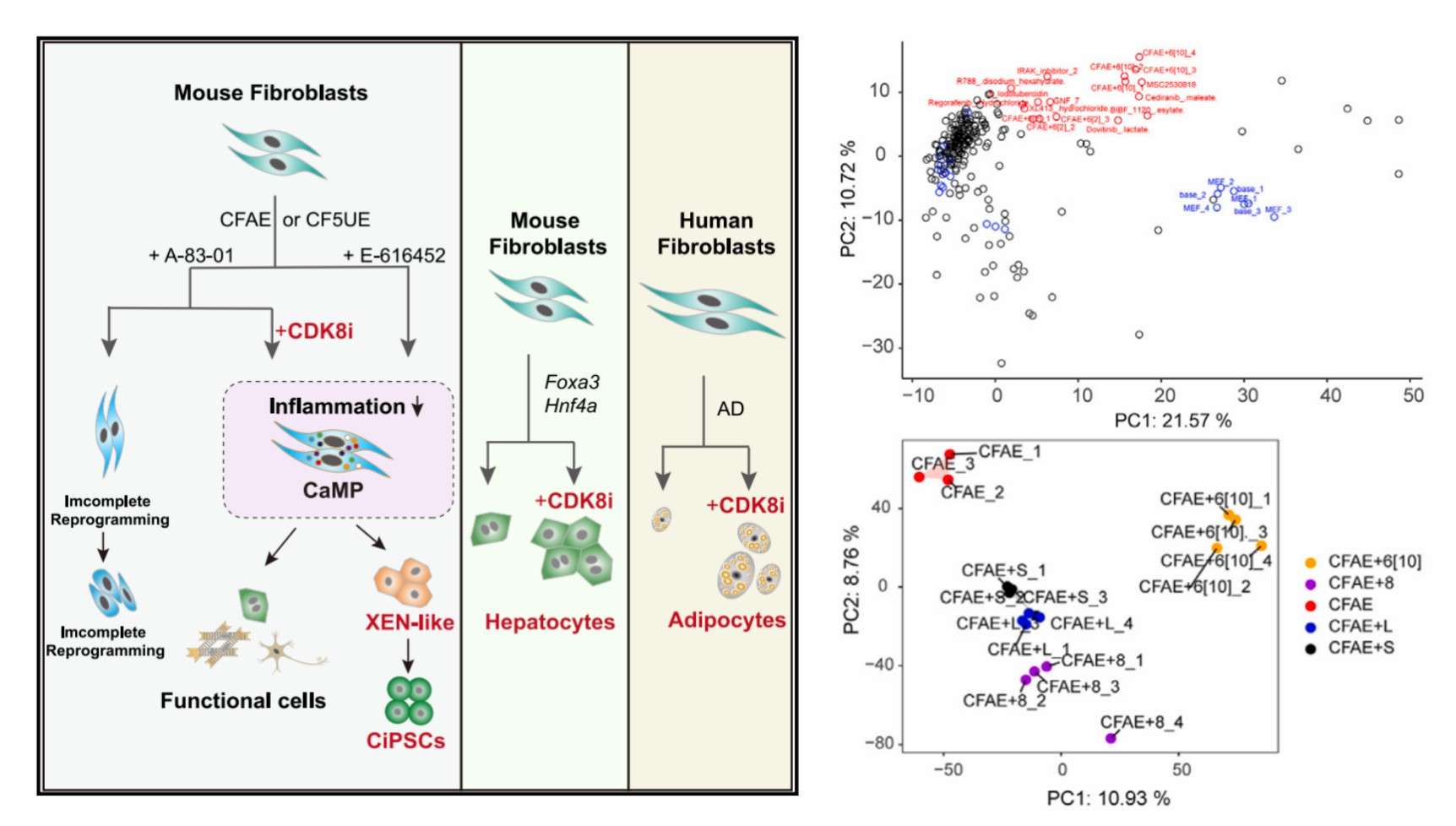 Drug target identification with DRUG-seq2 (Li et al., 2023)