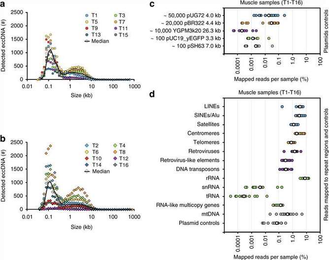the reads distribution of eccDNA