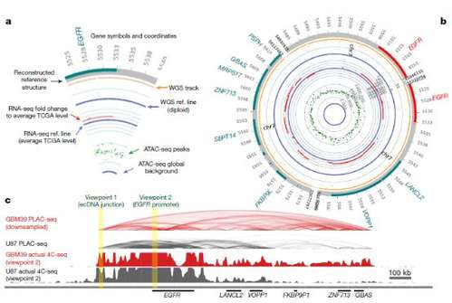 Depiction and interpretation of integrated technologies to assess chromatin compaction.