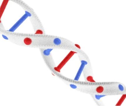 eccDNA Sequencing (Circle-seq)