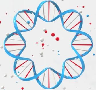 eccDNA Validation Service