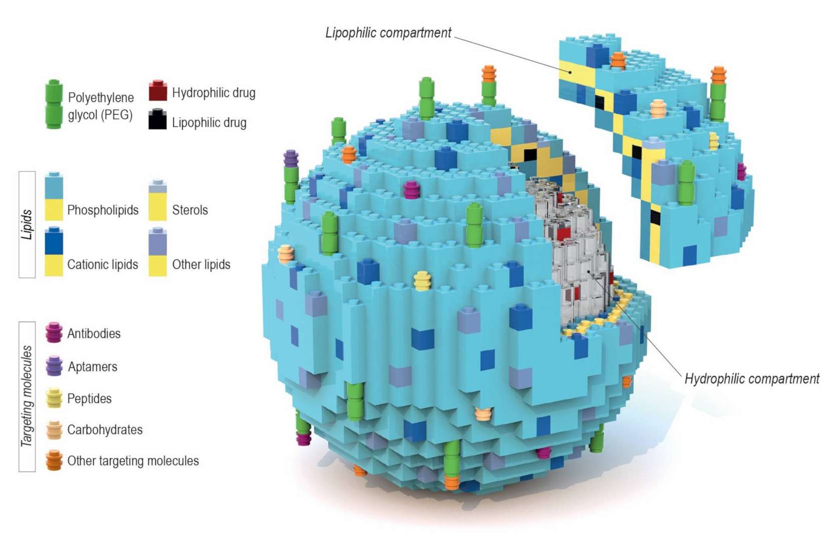 A schematic illustration of the composition of various liposome drug carriers (Juszkiewicz et al., 2020)