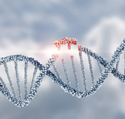 CRISPR Off-Target Validation Sequencing