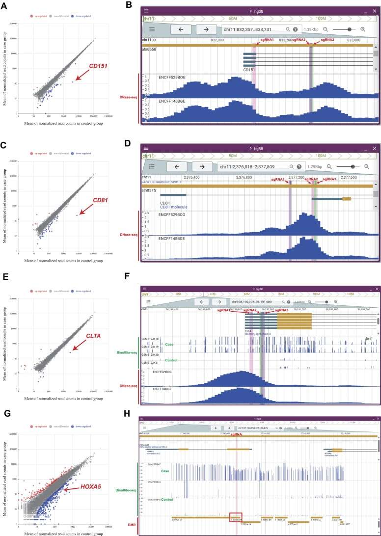 Example of inhibition of gene expression in CRISPRepi (Shi et al., 2025)