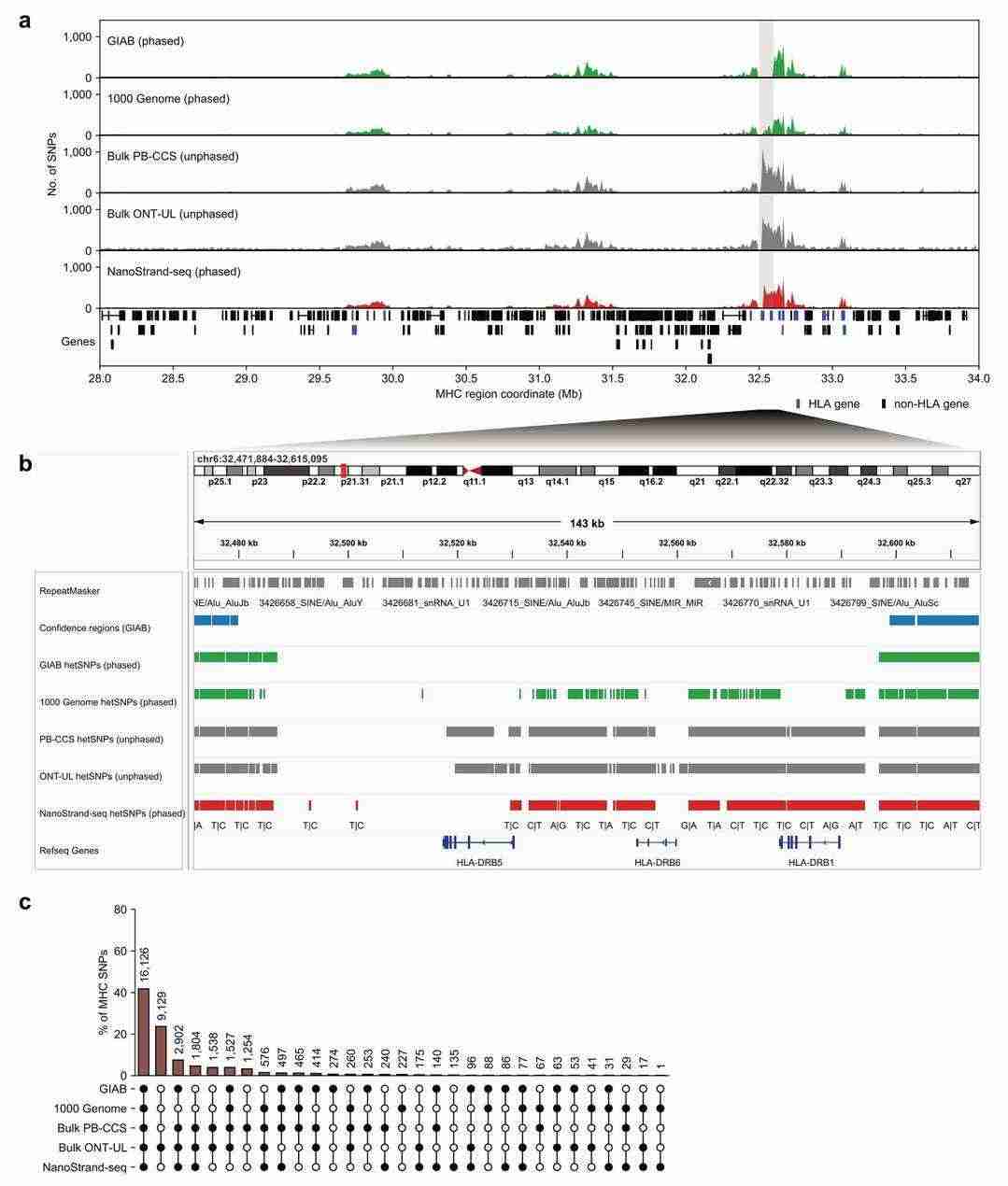 NanoStrand-seq performance in high-complexity SNP calling (Bai et al., 2024)